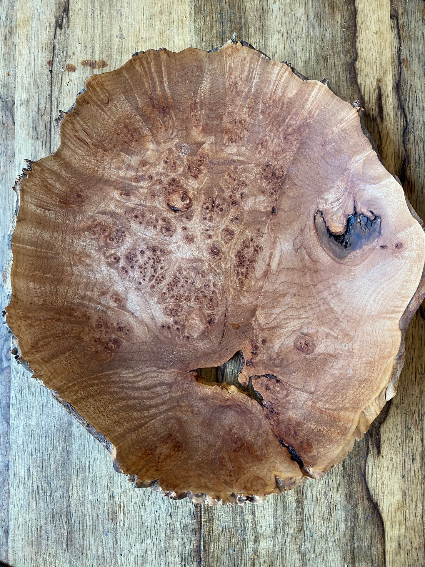 Burl Bowl