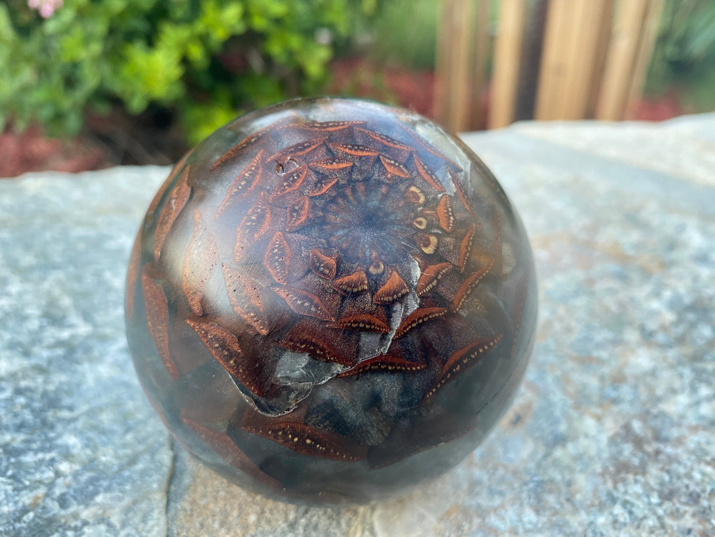 Pine Cone & Resin Sphere